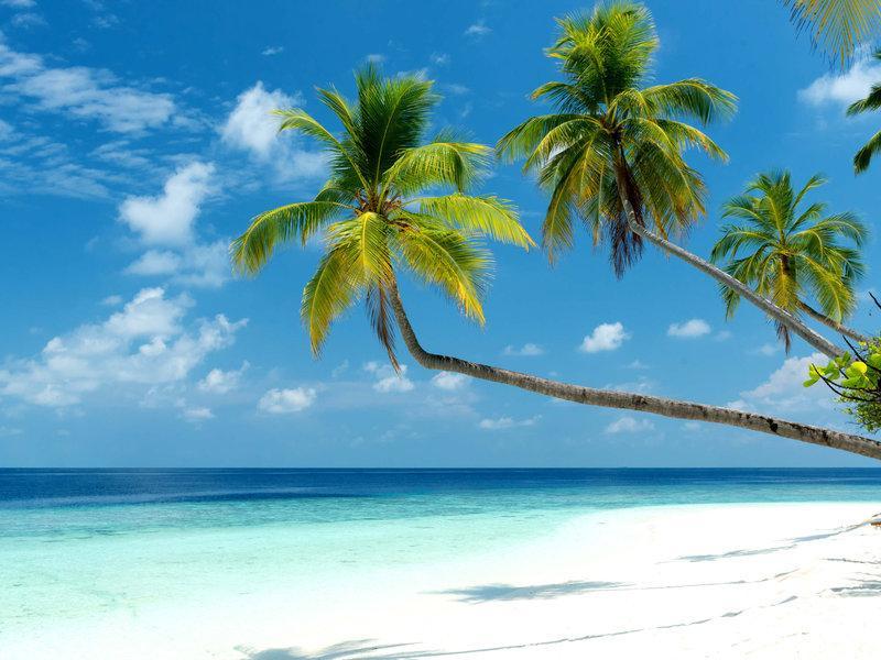 Mercure Maldives Kooddoo Adults-Only Resort - 35 Percent Off Return Domestic Transfers For Two Adults Until September Viligili Kültér fotó